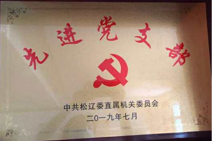 評(píng)為先進(jìn)黨支部